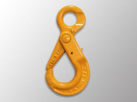 點(diǎn)擊查看詳細(xì)信息<br>標(biāo)題：Selflock Hook 閱讀次數(shù)：1557