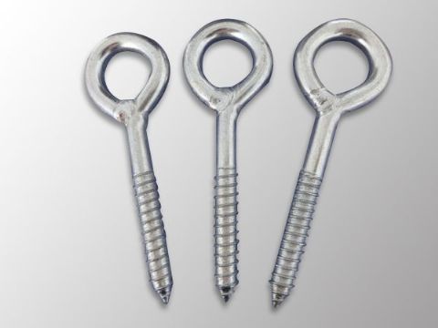 點(diǎn)擊查看詳細(xì)信息<br>標(biāo)題：Eye Bolt 閱讀次數(shù)：1234