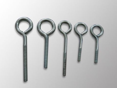 點(diǎn)擊查看詳細(xì)信息<br>標(biāo)題：Eye Bolt 閱讀次數(shù)：1198