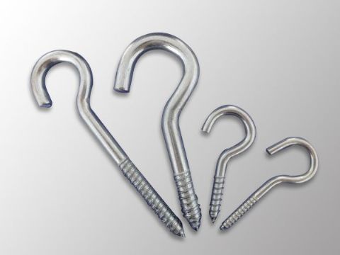 點(diǎn)擊查看詳細(xì)信息<br>標(biāo)題：Eye Bolt 閱讀次數(shù)：1093