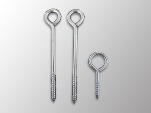 點(diǎn)擊查看詳細(xì)信息<br>標(biāo)題：Eye Bolt 閱讀次數(shù)：1196